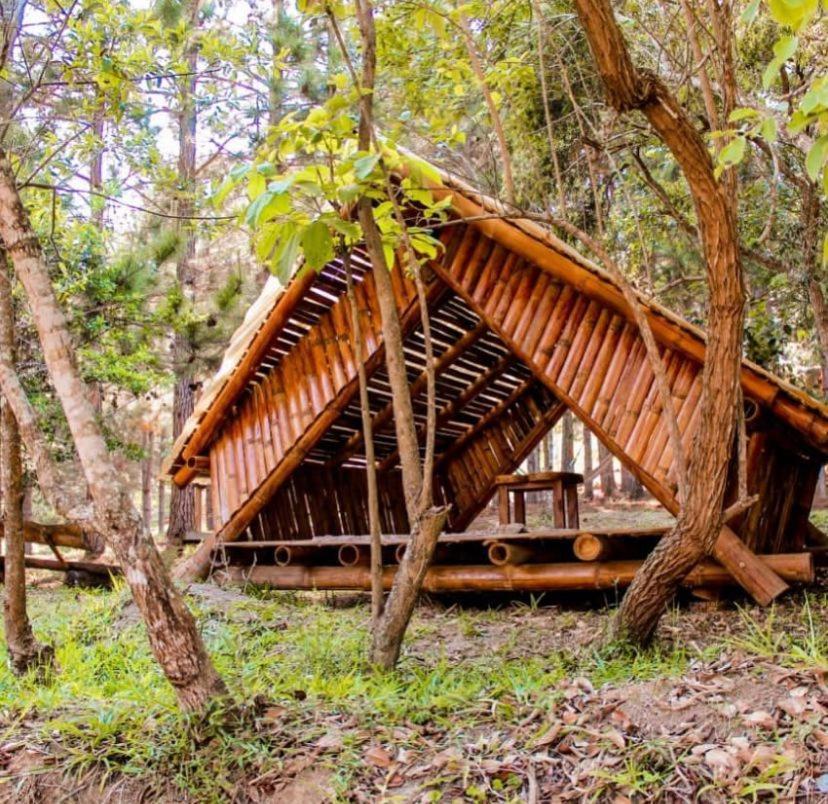 Chales Sitio Do Tanque Conceição da Ibitipoca Exterior foto