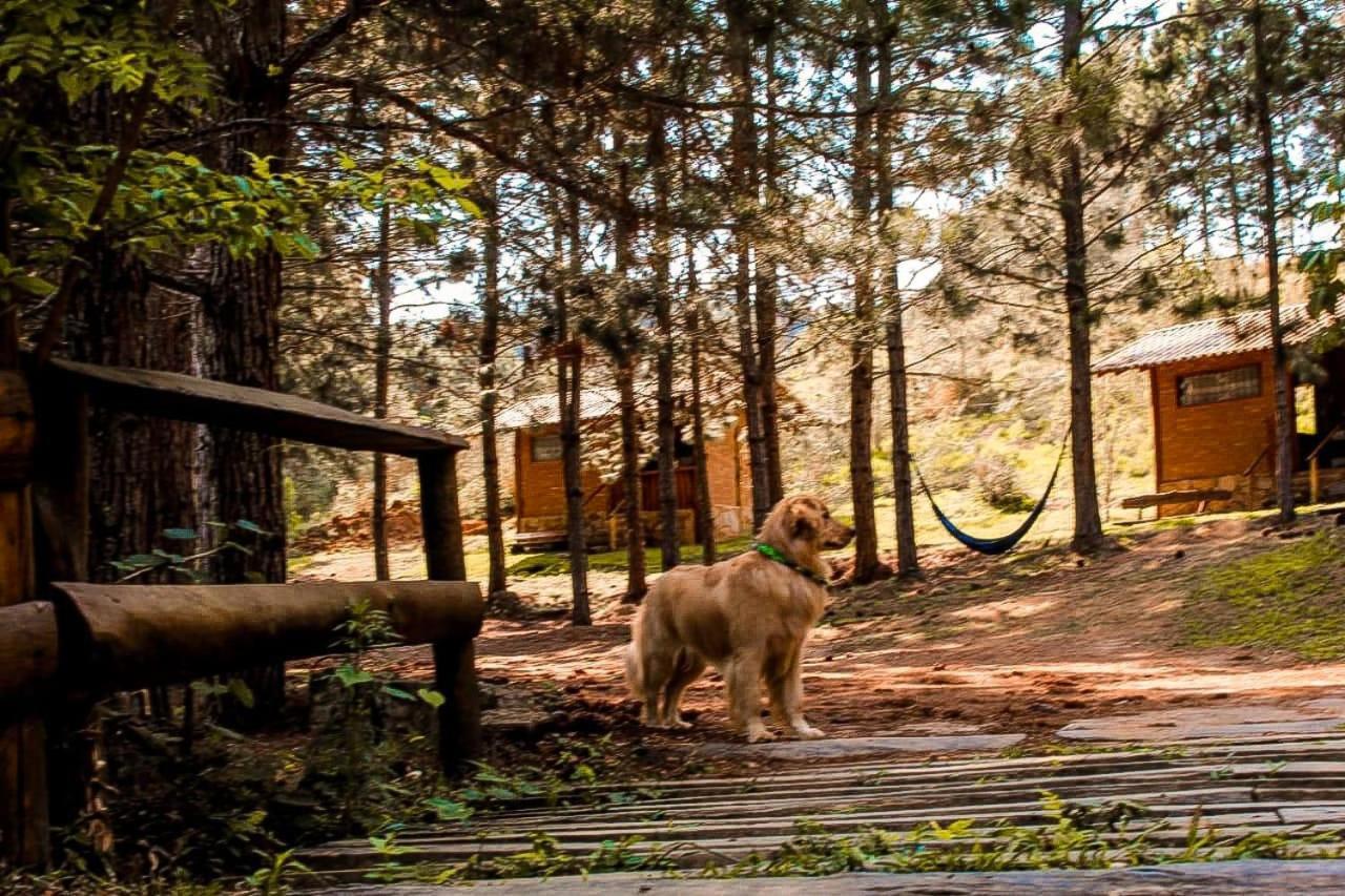 Chales Sitio Do Tanque Conceição da Ibitipoca Exterior foto